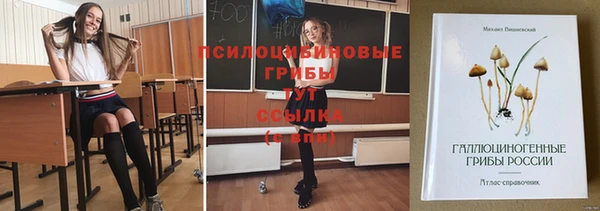 дмт Нея